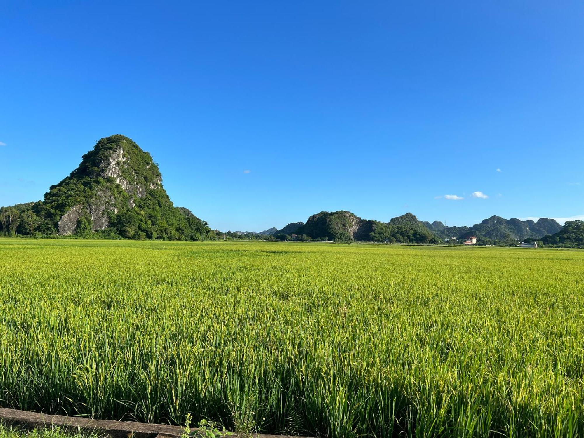 Ninh Binh Family Homestay Eksteriør billede