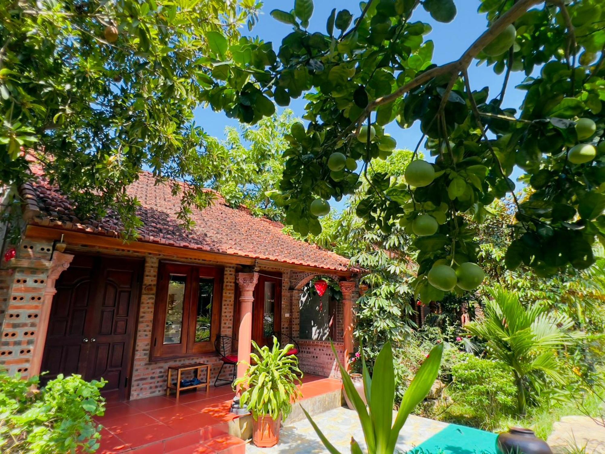 Ninh Binh Family Homestay Eksteriør billede